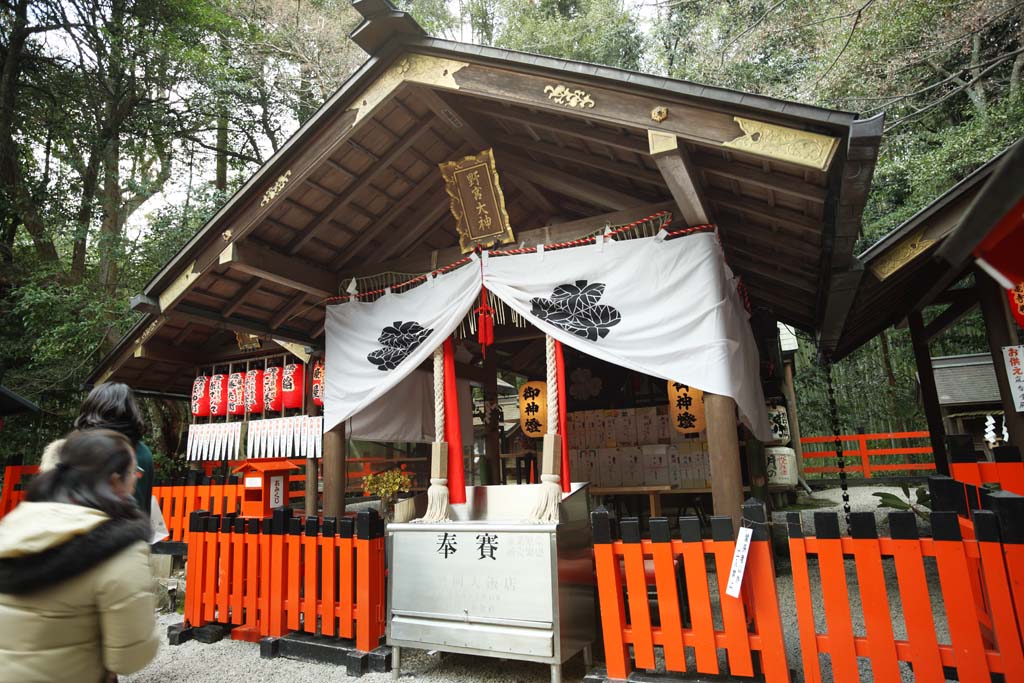 photo, la matière, libre, aménage, décrivez, photo de la réserve,Temple Nomiya, , Ligne du groupe de la princesse Impériale vierge, Saiku règlent, Temple shintoïste