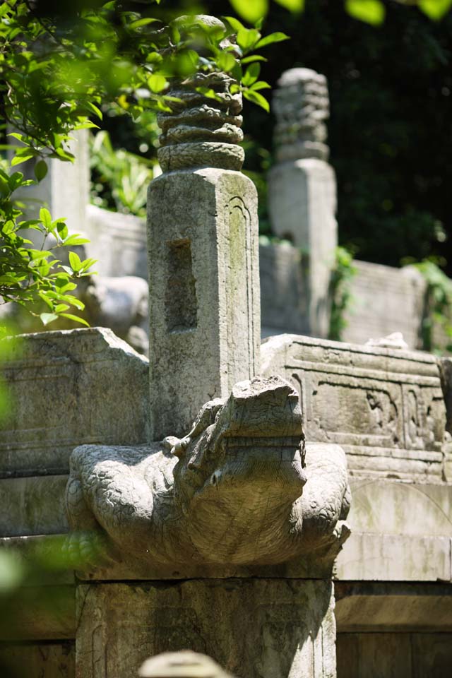 Foto, materieel, vrij, landschap, schilderstuk, bevoorraden foto,Ming Xiaoling Mausoleum Toru stichting stenig, Morgenochtend, Stenige colonne, De eerst keizer, Wereld heritage