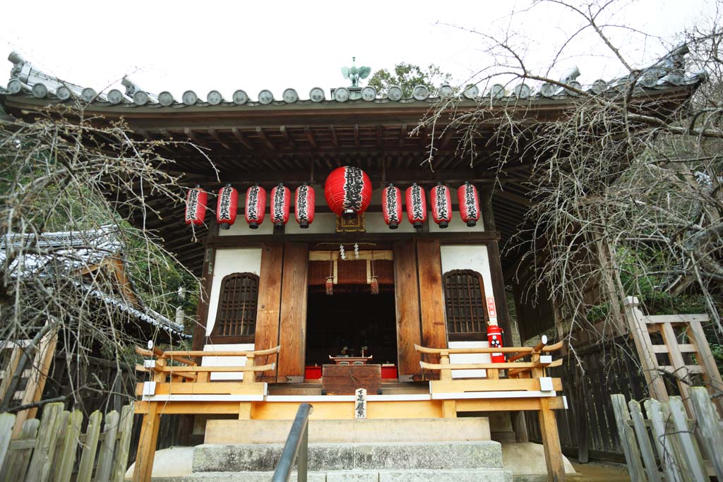 Foto, materiell, befreit, Landschaft, Bild, hat Foto auf Lager,Neun Haus von Buddha und Amitabha Drachen Benzai Heiligtümer von Gott, Blume leitende-Fenster, rote Papierlaterne, steinigen Sie Treppe, Neun Drachen Sarasvati Chinese Phönixe