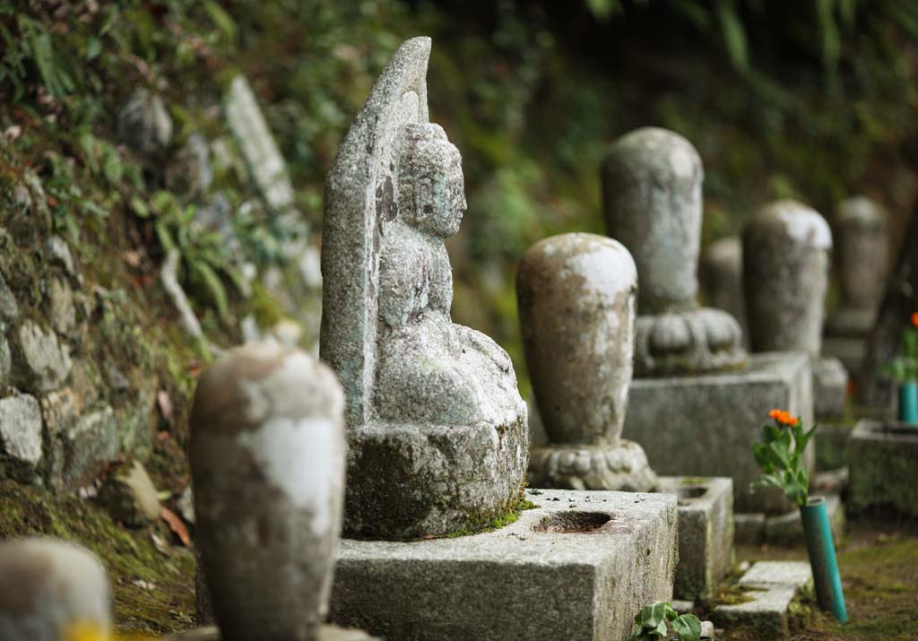 foto,tela,gratis,paisaje,fotografía,idea,Casa de Buddha y lápida de Amitabha, Moss, Estatua de piedra, Lápida, Buddhism