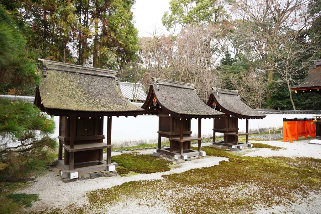 photo, la matière, libre, aménage, décrivez, photo de la réserve,Compagnie de Temple Shimogamo Corporation Mitsui, Une boîte de la quête, bâtiment en bois, paire rouge de chiens du gardien de pierre, Accessoires du métal de l'argent