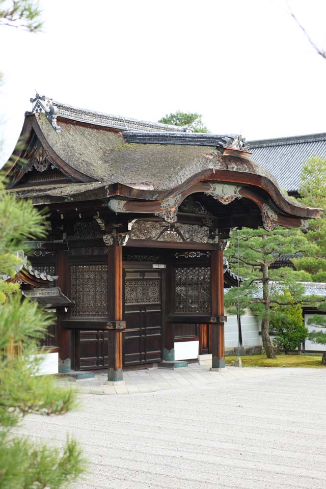 foto,tela,gratis,paisaje,fotografía,idea,Puerta de Temple de Ninna - ji para mensajeros imperiales, Openwork, Soy lujoso, Edificio de madera, Césped de Tang