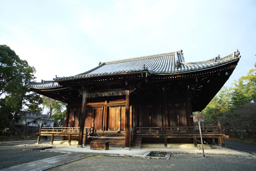 foto,tela,gratis,paisaje,fotografía,idea,Temple Kannondo de Ninna - ji, Estilo arquitectónico japonés, Los Kannon - con - one mil - brazos, Chaitya, Herencia de mundo