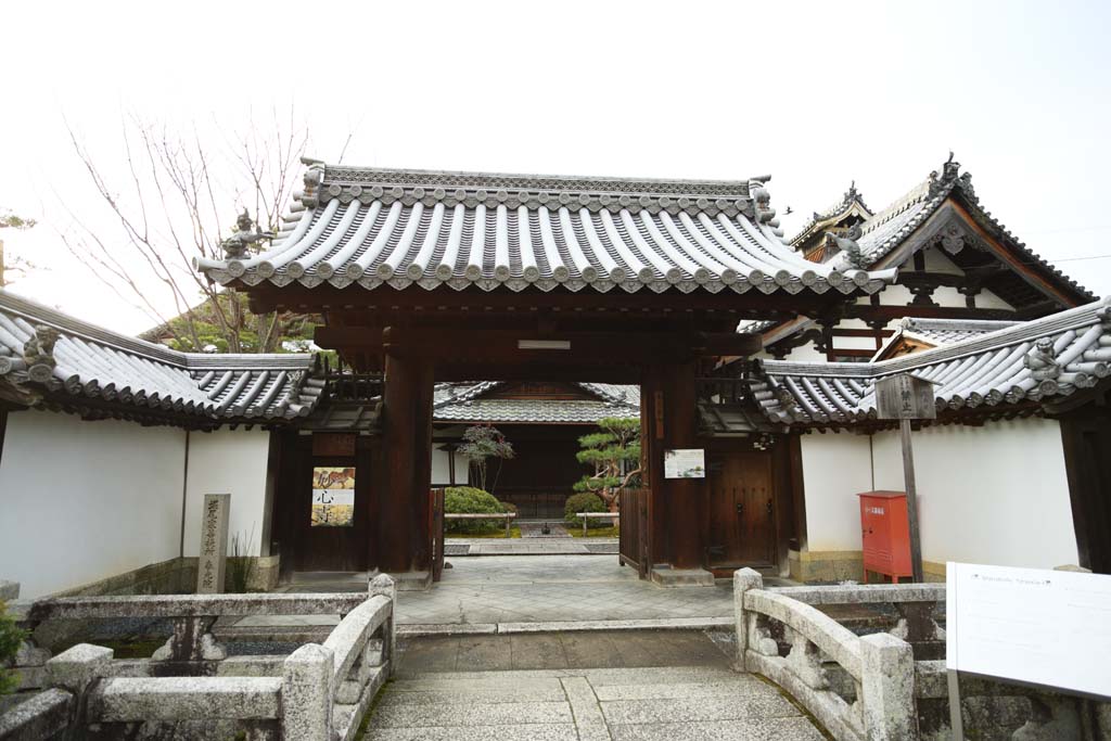 photo, la matière, libre, aménage, décrivez, photo de la réserve,La maison de temple Myoshin-ji Harumitsu, Egen Kanzan, boisez fond, Le pape du jardin de la fleur, temple qui appartient à la secte Zen