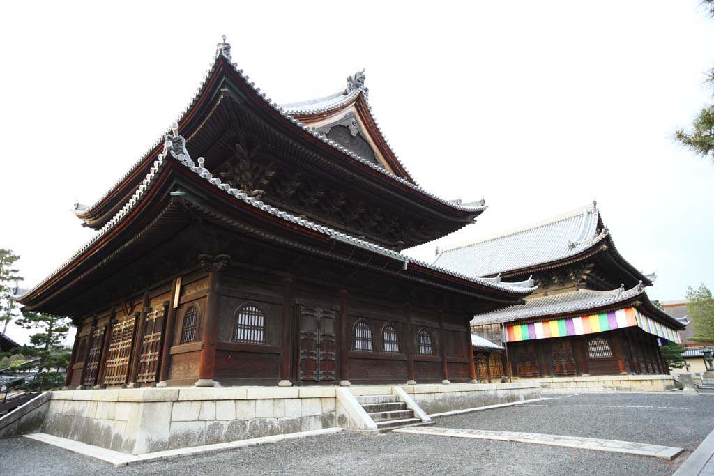 foto,tela,gratis,paisaje,fotografía,idea,Temple sanctum Buddhist de Myoshin - ji, Egen Kanzan, Parte inferior de bosque, El pope de jardín de flores, Templo pertenecer al secta de Zen