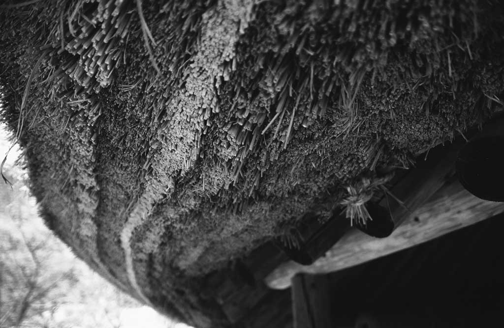 fotografia, materiale, libero il panorama, dipinga, fotografia di scorta,Anelli annuali di tetto ricoperto di paglia, tradizione, , , 