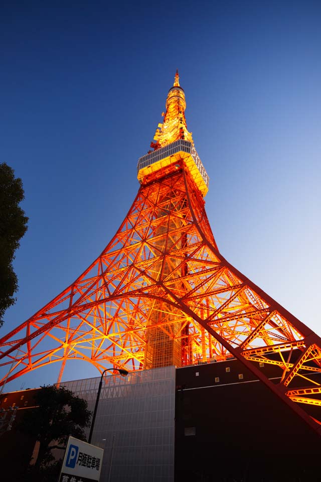 fotografia, material, livra, ajardine, imagine, proveja fotografia,Torre de Tóquio, coleção torre de onda elétrica, Eu ilumino isto, Uma antena, Um observatório