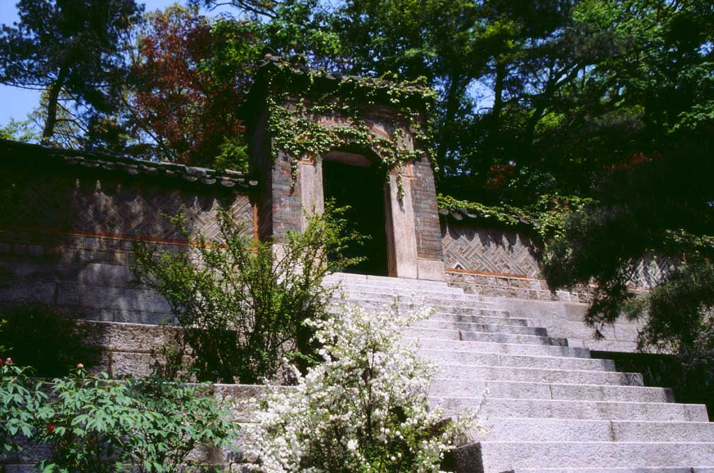 Foto, materiell, befreit, Landschaft, Bild, hat Foto auf Lager,Gate, das sich in Verbindung mit einem anderen Alter setzt, Palast, Tor, steinigen Sie Schritte, 