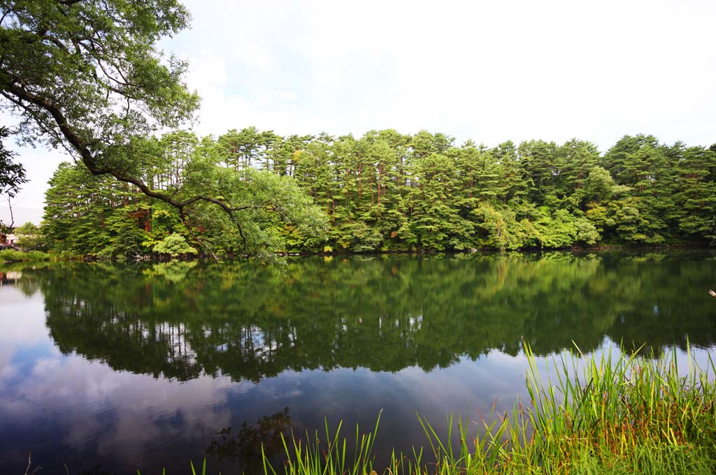 foto,tela,gratis,paisaje,fotografía,idea,Yaginuma, Bosque, Laguna, La superficie del agua, Monte. Bandai - san