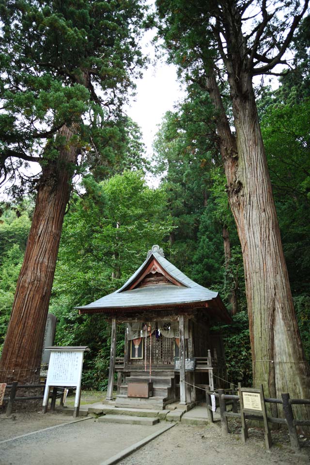 Foto, materieel, vrij, landschap, schilderstuk, bevoorraden foto,Iimori-yama Hill Itsukushima-jinja Heiligdom, Mengeling van Het boeddhisme en Shintoïsme, Uitstekende Mr. reed, Aizu, Masakata Matsudaira