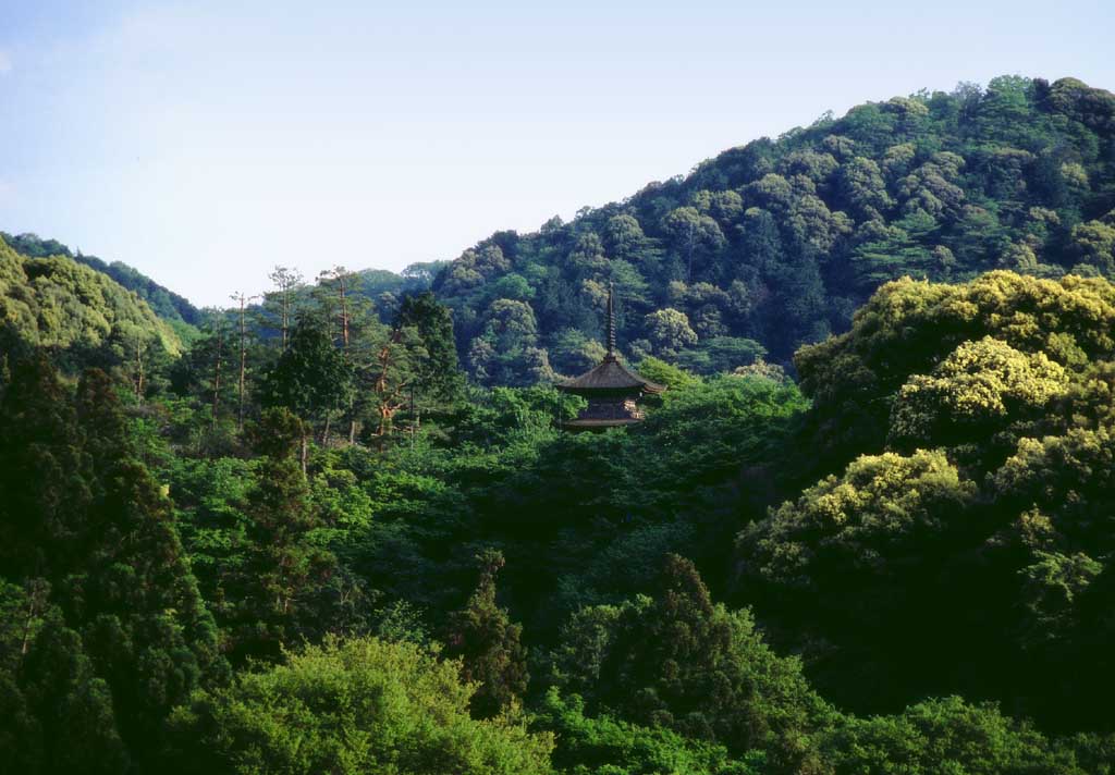 foto,tela,gratis,paisaje,fotografía,idea,Torre del bosque, Kiyomizu templo, Torre, Montaña, Madera