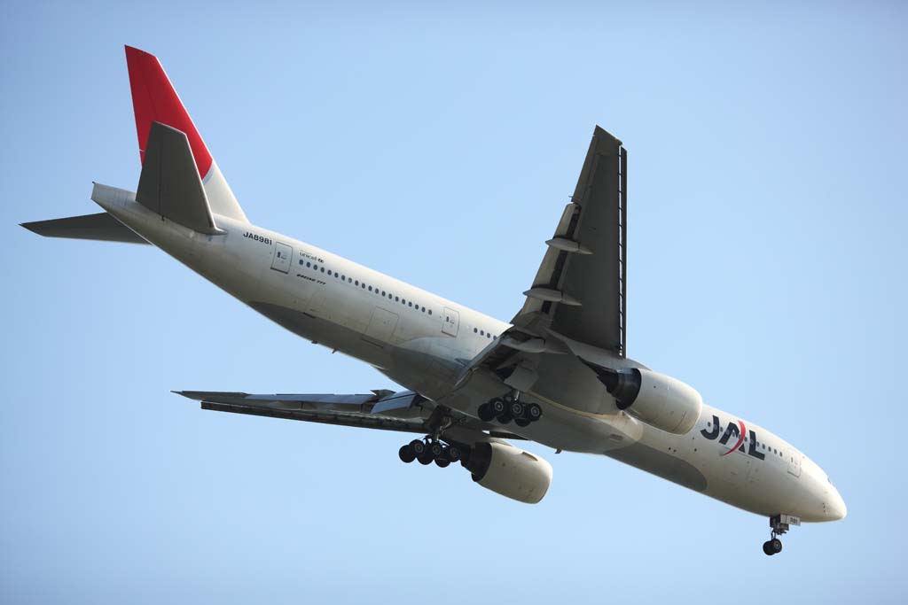 foto,tela,gratis,paisaje,fotografía,idea,Un avión comercial, Marcha, Solapa, Reactor, Ala