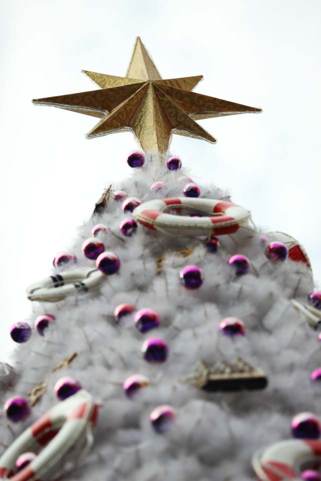 photo, la matière, libre, aménage, décrivez, photo de la réserve,Un sapin de Noël, étoile, Neige, Un ornement, X'mas