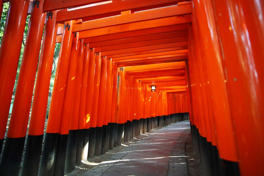 fotografia, materiale, libero il panorama, dipinga, fotografia di scorta,1,000 Fushimi-Inari Taisha toriis di Sacrario, La visita di anno Nuovo ad un sacrario scintoista, torii, Inari, volpe