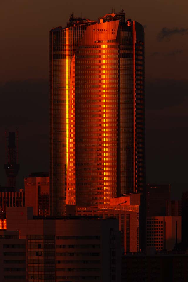 photo, la matière, libre, aménage, décrivez, photo de la réserve,Tokyo du crépuscule, Collines Roppongi, construire, Arbre du ciel, 