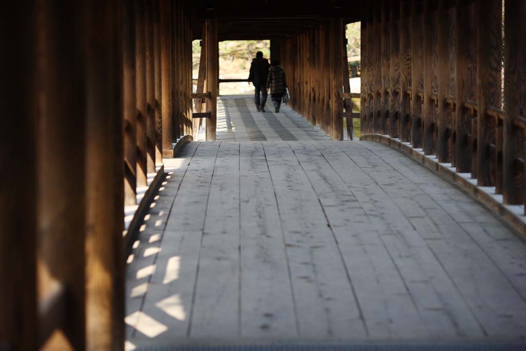 写真,素材,無料,フリー,フォト,クリエイティブ・コモンズ,風景,壁紙,東福寺　通天橋, 仏教寺院, 橋, 橋廊, 洗玉澗