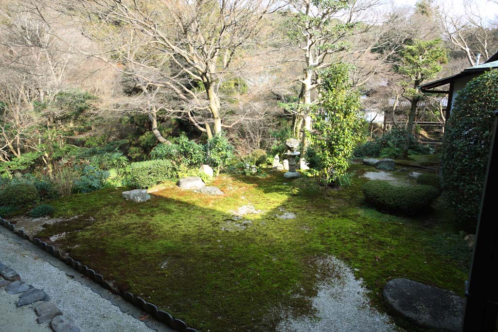 fotografia, material, livra, ajardine, imagine, proveja fotografia,O jardim do Templo de Tofuku-ji o padre principal, Chaitya, pedra, Japonês ajardina, apedreje lanterna