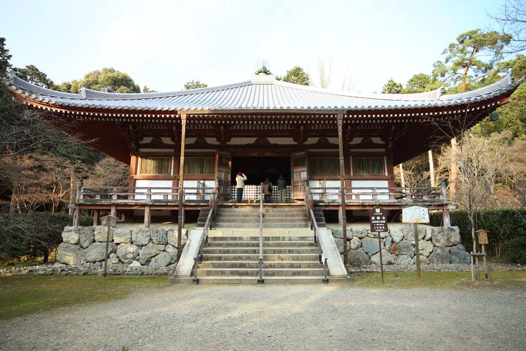 foto,tela,gratis,paisaje,fotografía,idea,Temple salón imponente de Daigo - ji, Chaitya, Templo de Dempo-in grande, Una Amitabha inactivo imagen, Techo pirámide -shaped