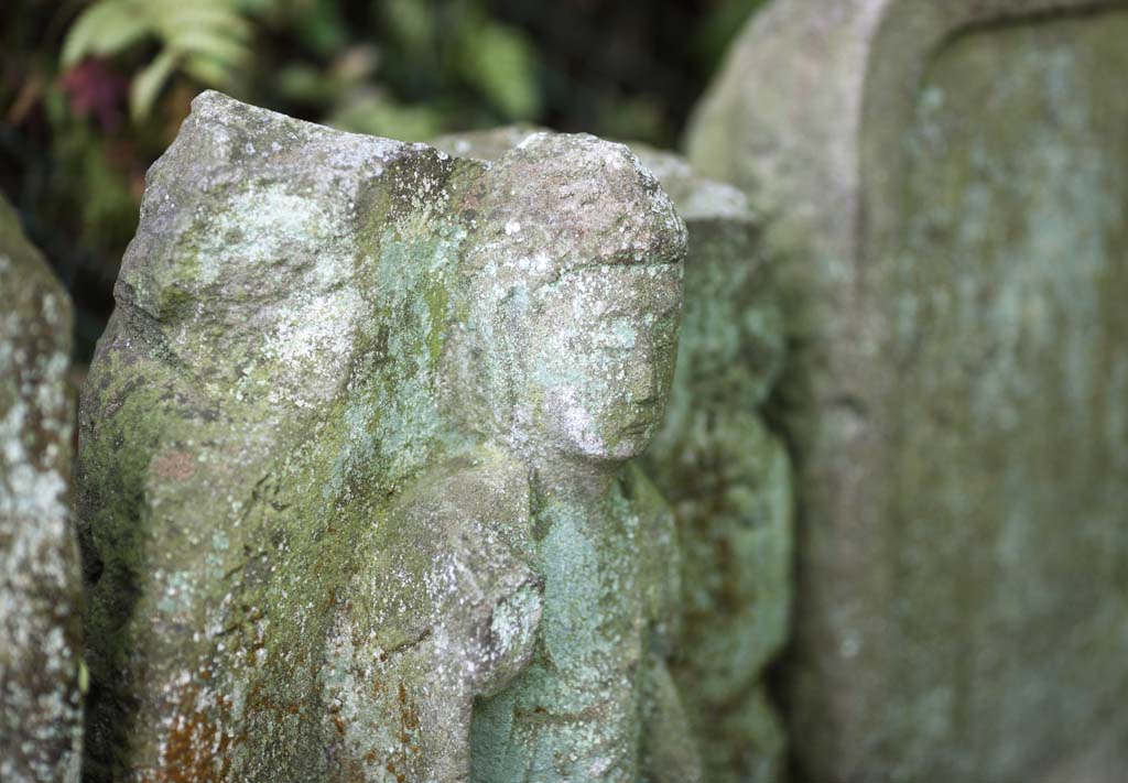 Foto, materieel, vrij, landschap, schilderstuk, bevoorraden foto,Hase-dera Temple Ishibotoke, Stenig standbeeld, Mos, Boeddhisme, Chaitya