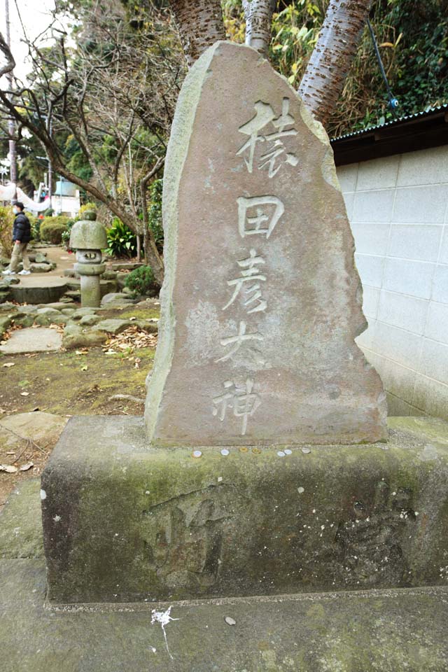 Ôîòî, ìàòåðèàëüíûé, ñâîáîäíûé, ïåéçàæ, ôîòîãðàôèÿ, ôîòî ôîíäà.,Eshima Shrine ñòîðîíà Tsunomiya áàøíÿ, Îáåçüÿíà Tabiko Oga, , , 