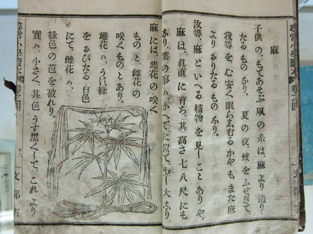 foto,tela,gratis,paisaje,fotografía,idea,Libro de texto del museo de pueblo de Meiji - mura, Estudie, Libro de texto, Marihuana, Herencia cultural