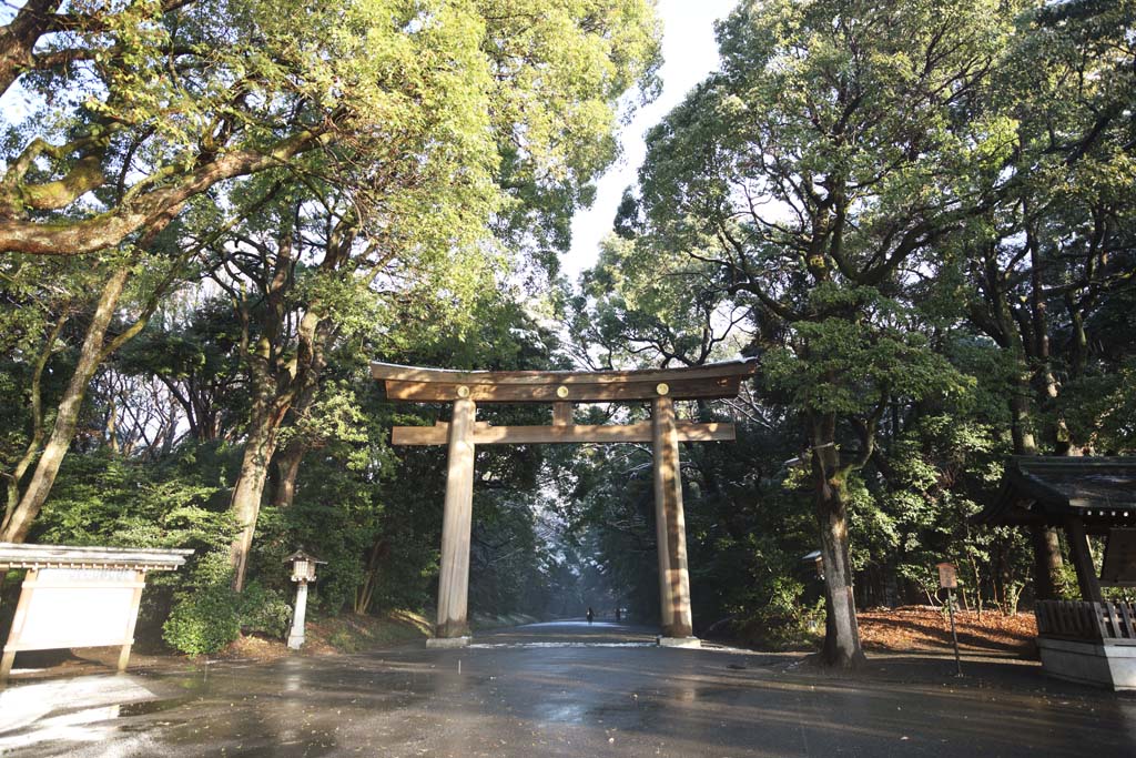 ÇáÕæÑÉ,ÇáãÇÏÉ,ÍÑÑ,ãäÙÑ ááØÈíÚÉ,Ìãíá,ÕæÑ,torii ãÒÇÑ Meiji., ÇãÈÑÇØæÑ., ãÒÇÑ ÔäÊæ., torii., ÇÞÊÑÇÈ Åáì ãÒÇÑ.