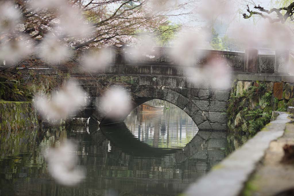 fotografia, materiale, libero il panorama, dipinga, fotografia di scorta,Kurashiki Imahashi, Cultura tradizionale, ponte di pietra, albero ciliegio, La storia