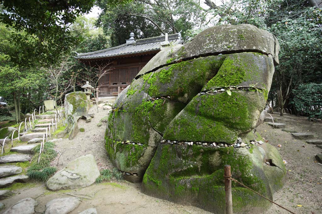 photo, la matière, libre, aménage, décrivez, photo de la réserve,Koraku-en Jardin temple de l'apparence affectueux, treillagez la fenêtre, Image Kannon, Rock en forme de le couvre-chef d'un noble, Architecture de la tradition