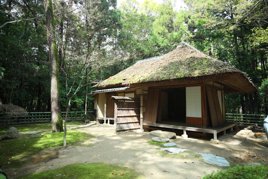 foto,tela,gratis,paisaje,fotografía,idea,Shigeru Shoan de jardín de Koraku - en, Techo cubrir con paja por pajita, Shoji, Habitación de ceremonia del té, Edificio japonés