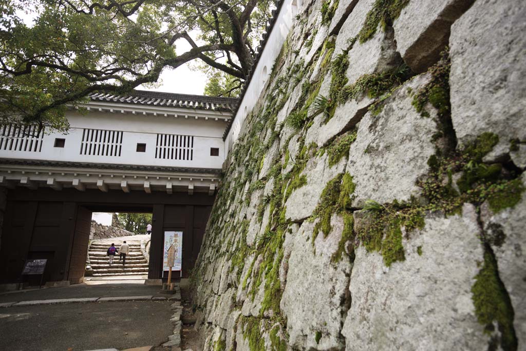 fotografia, material, livra, ajardine, imagine, proveja fotografia,O Okayama-jo portão de corredor de Castelo, castelo, portão de castelo, Castelo de corvo, 