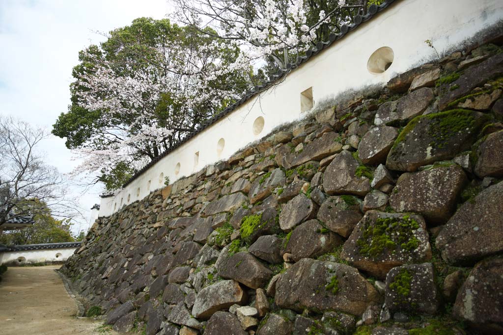 foto,tela,gratis,paisaje,fotografía,idea,Pared de castillo de castillo de Okayama - jo, Castillo, Ishigaki, Castillo de Crow, 