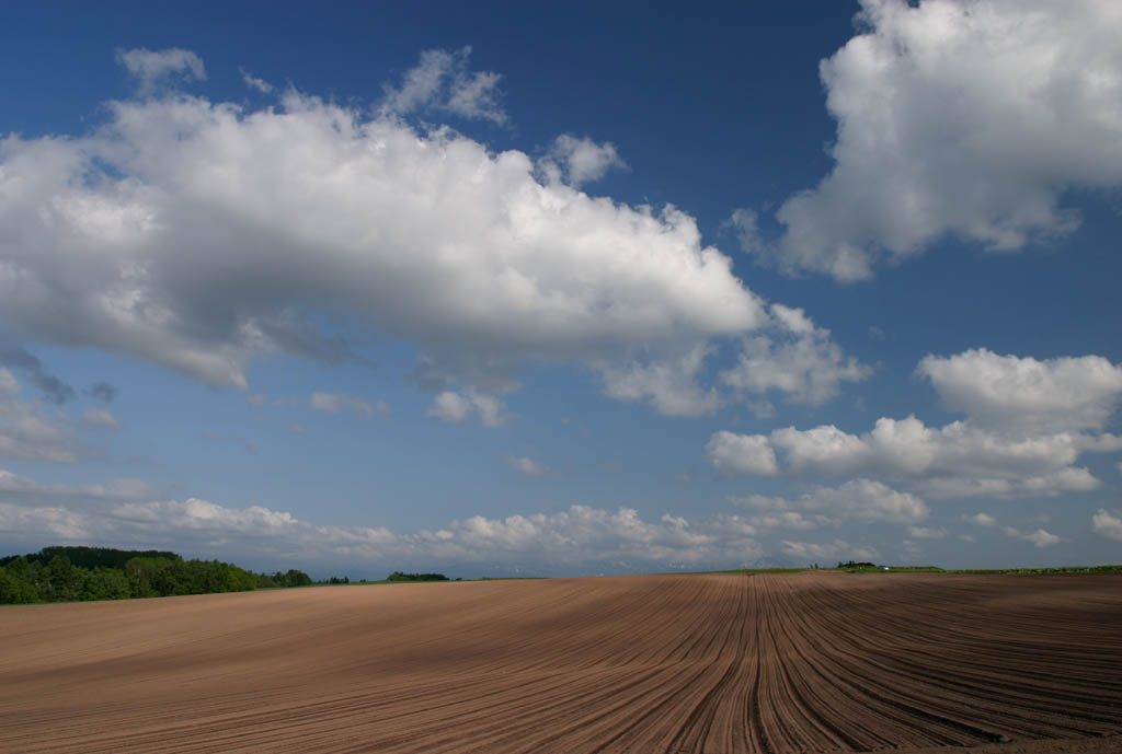 foto,tela,gratis,paisaje,fotografía,idea,El verde esplendor del verano., Campo, Nube, Cielo azul, Color azul