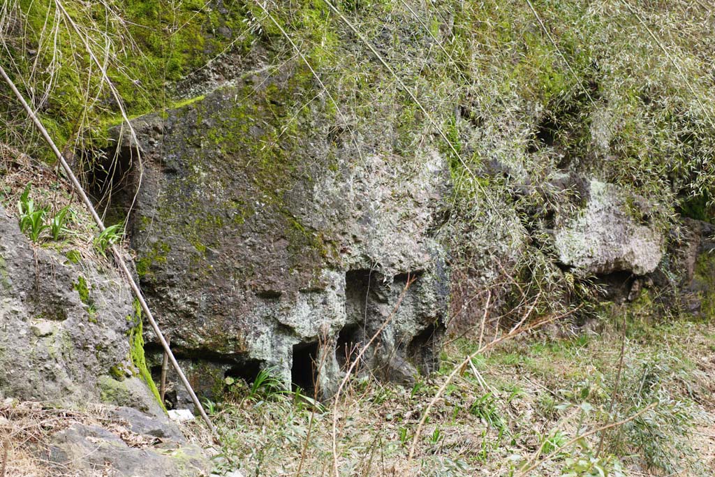 ÇáÕæÑÉ,ÇáãÇÏÉ,ÍÑÑ,ãäÙÑ ááØÈíÚÉ,Ìãíá,ÕæÑ,Óã ÌÑÐ ÒÑäíÎí ãä Iwami-silver-mine., ÇáÑæÇÞ., ÇáæÑíÏ., ÅíÏÇÚ ÃÈÏí., Somo.