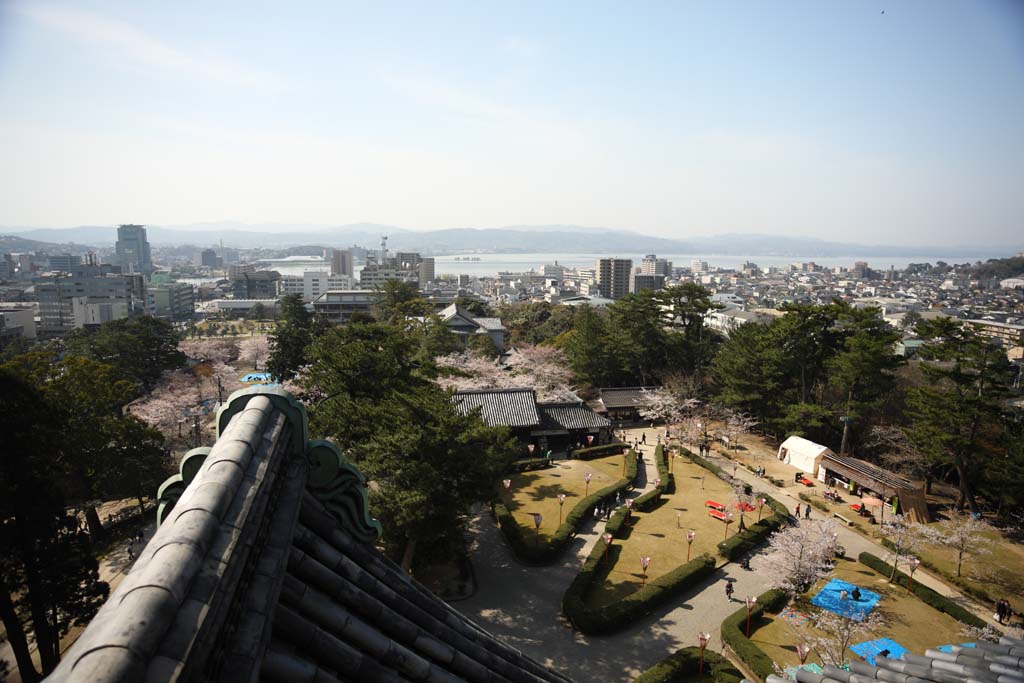 foto,tela,gratis,paisaje,fotografía,idea,La ciudad de Matsue, Azulejo de techo, Edificio, Pino, Cielo azul