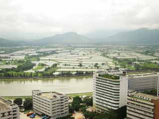 写真,素材,無料,フリー,フォト,クリエイティブ・コモンズ,風景,壁紙,香港の水田, , , , 