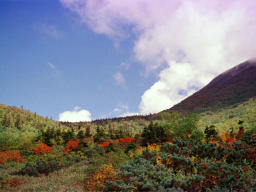 写真,素材,無料,フリー,フォト,クリエイティブ・コモンズ,風景,壁紙,楽園の彼方, 山, 雲, 青空, 