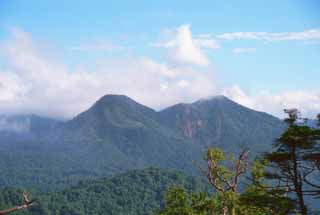 写真,素材,無料,フリー,フォト,クリエイティブ・コモンズ,風景,壁紙,蒼き山, 山, 青空, 木, 