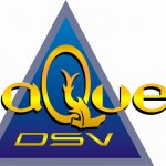 seaquest-021