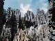 Shilin Stone Forest (中国)