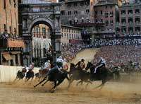 The Palio di Siena 