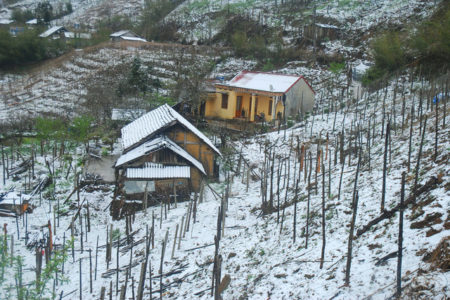 wooden houses in snow