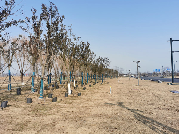 鹽城南海公園投光燈工程案例