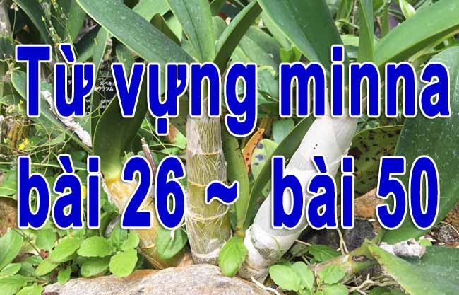 tu vung minna bai 26 den bai 50