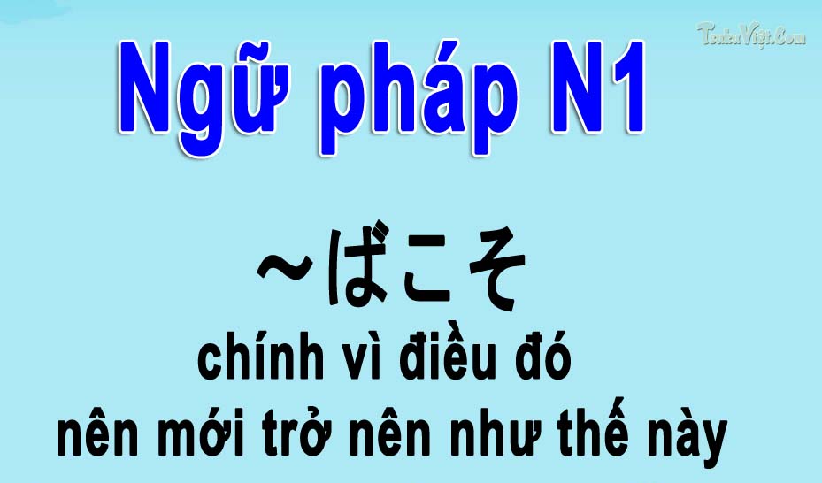 ngữ pháp n1 ばこそ