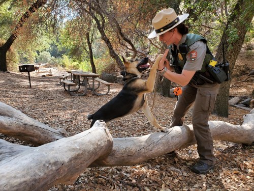 Please take a paws to thank and appreciate all our Interior law enforcement personnel (even the furry ones) who help protect our public lands and wildlife.
We are grateful for your service and your dedicated professionalism. Thank you....