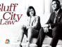 Bluff City Law TV show on NBC: canceled or renewed for season 2?