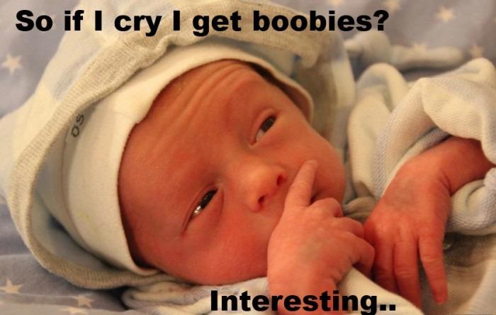 funny baby quotes for cards