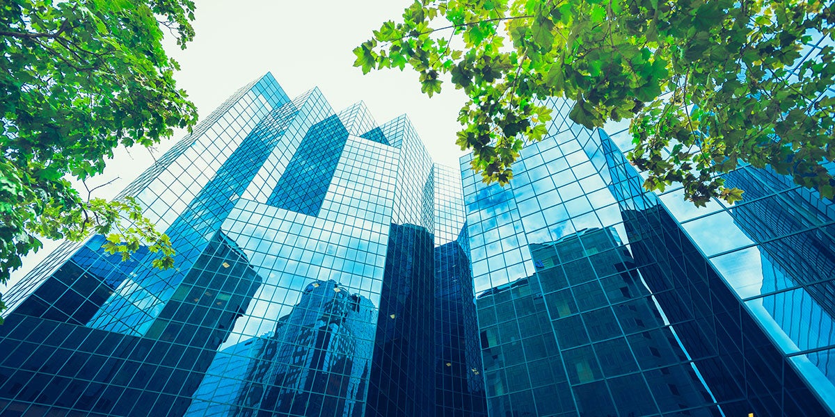 Upward view of trees against glass skyscrapers