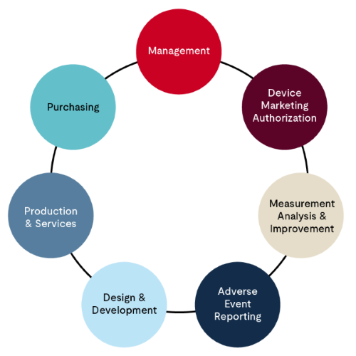 Medical Device Single Audit Program (MDSAP) audit process.