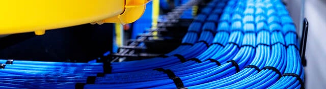 Blue network cable in Data Center